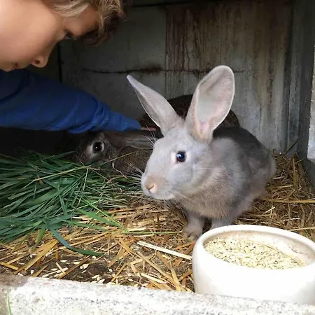 La Grelinette * Vatimont (Moselle)