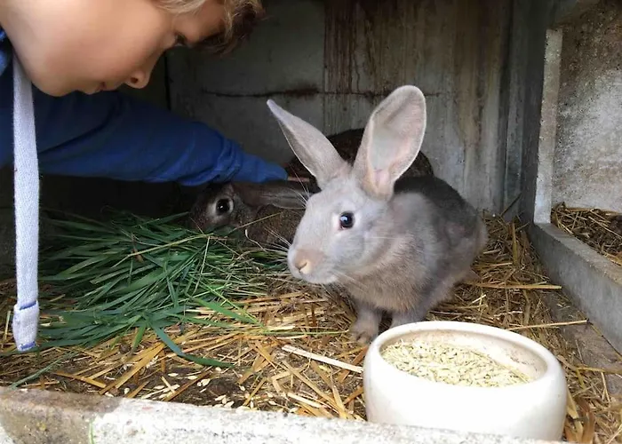 La Grelinette * Vatimont (Moselle)